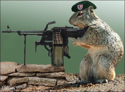 airsoft-sniper-rifle-squirrels.jpg?w=500&h=367